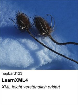 cover image of LearnXML4